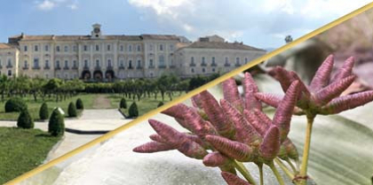 Visita Guidata - Reggia di Portici - MUSA