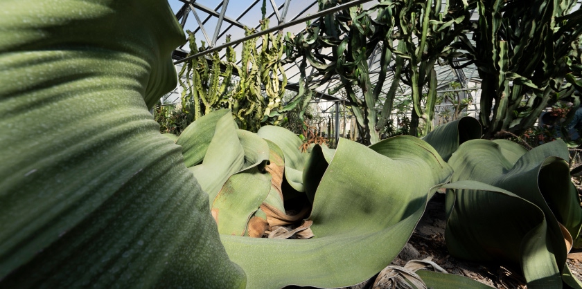  Viaggio nella scienza | Scuole - Reggia di Portici - MUSA